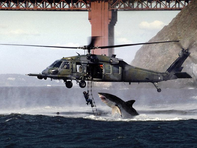 Image of a shark attacking a man.