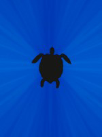 Surfer from below.