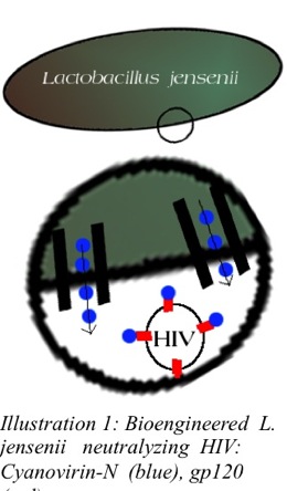 cell and shit