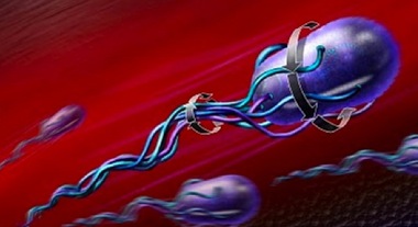 cell and shit